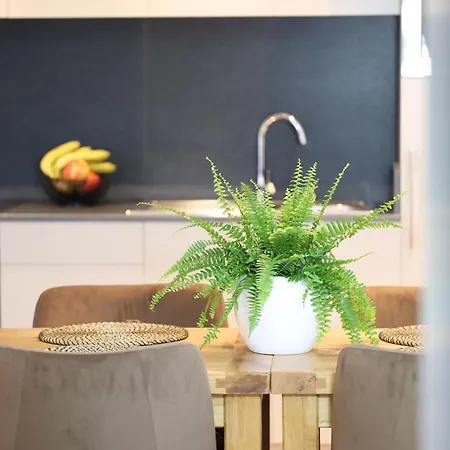 Mr.bernard * De Panne