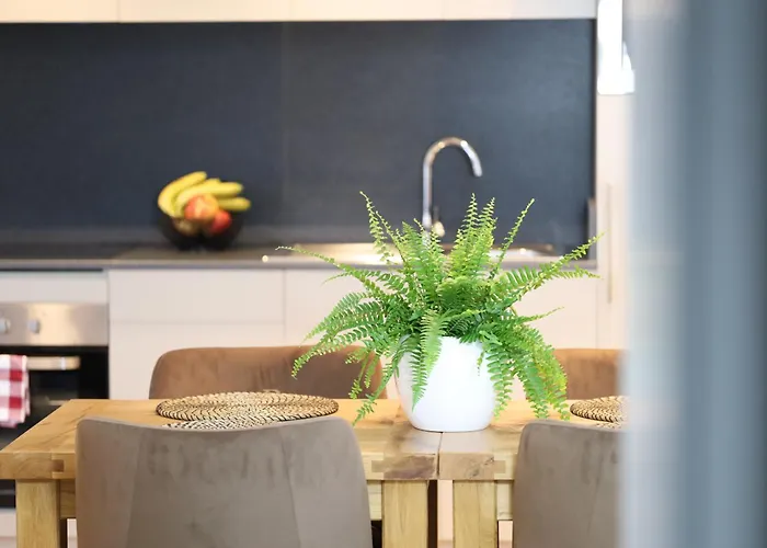 Mr.bernard * De Panne