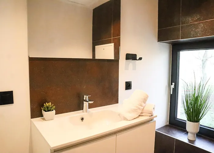 Mr.bernard * De Panne