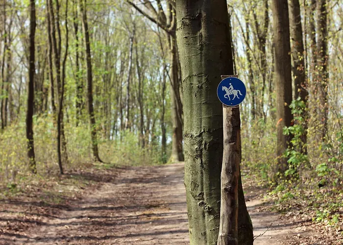 Mr.bernard * De Panne